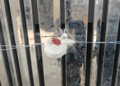 एमडीडीए की बड़ी कार्रवाई, सुरक्षा मानकों की अनदेखी पर ऋषिकेश में बहुमंजिला भवन को किया सील