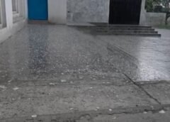 बेमौसमी बारिश और ओलावृष्टि से गेहूं की फसल को भारी नुकसान पहुंचने की आशंका