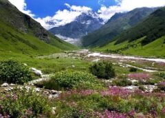 उत्तराखंड में एक जून से सैलानी कर सकेंगे वैली ऑफ फ्लावर का दीदार