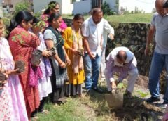 केंद्र सरकार के 12 वर्ष पूर्ण होने पर नत्थनपुर में किया गया पौधारोपण