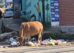 राजधानी गैरसैंण में कूड़ेदान गायब, कूड़ा हाजिर, सफाई व्यवस्था पर उठे सवाल